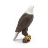 PAPO Wild Animal Kingdom Sea Eagle Toy Figure, Three Years or Above, Brown/White (50181)