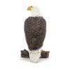 PAPO Wild Animal Kingdom Sea Eagle Toy Figure, Three Years or Above, Brown/White (50181)