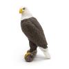 PAPO Wild Animal Kingdom Sea Eagle Toy Figure, Three Years or Above, Brown/White (50181)