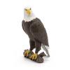 PAPO Wild Animal Kingdom Sea Eagle Toy Figure, Three Years or Above, Brown/White (50181)