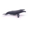 PAPO Marine Life Humpback Whale Toy Figure, Three Years or Above, Grey (56001)