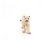 PAPO Wild Animal Kingdom White Lioness with Cub Toy Figure, 3 Years or Above, White (50203)