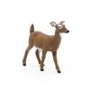 PAPO Wild Animal Kingdom White-Tailed Doe Toy Figure, 3 Years or Above, Brown (50218)