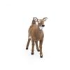 PAPO Wild Animal Kingdom White-Tailed Doe Toy Figure, 3 Years or Above, Brown (50218)