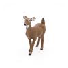 PAPO Wild Animal Kingdom White-Tailed Doe Toy Figure, 3 Years or Above, Brown (50218)