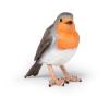 PAPO Wild Animal Kingdom Robin Toy Figure, 3 Years or Above, Multi-colour (50275)