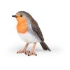 PAPO Wild Animal Kingdom Robin Toy Figure, 3 Years or Above, Multi-colour (50275)