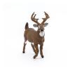 PAPO Wild Animal Kingdom White-Tailed Deer Toy Figure, 3 Years or Above, Brown (53021)