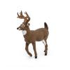 PAPO Wild Animal Kingdom White-Tailed Deer Toy Figure, 3 Years or Above, Brown (53021)