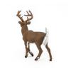 PAPO Wild Animal Kingdom White-Tailed Deer Toy Figure, 3 Years or Above, Brown (53021)