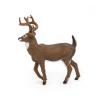 PAPO Wild Animal Kingdom White-Tailed Deer Toy Figure, 3 Years or Above, Brown (53021)