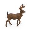 PAPO Wild Animal Kingdom White-Tailed Deer Toy Figure, 3 Years or Above, Brown (53021)