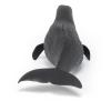 PAPO Marine Life Sperm Whale Toy Figure, 3 Years or Above, Grey (56036)