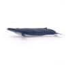 PAPO Marine Life Blue Whale Toy Figure, 3 Years or Above, Blue (56037)