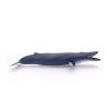 PAPO Marine Life Blue Whale Toy Figure, 3 Years or Above, Blue (56037)