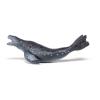 PAPO Marine Life Leopard Seal Toy Figure, 3 Years or Above, Grey (56042)