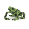 PAPO Wild Animal Kingdom Green Equatorial Frog Toy Figure, 3 Years or Above, Green/Black (50176)