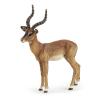 PAPO Wild Animal Kingdom Impala Toy Figure, 3 Years or Above, Brown (50186)