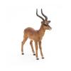 PAPO Wild Animal Kingdom Impala Toy Figure, 3 Years or Above, Brown (50186)
