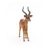 PAPO Wild Animal Kingdom Impala Toy Figure, 3 Years or Above, Brown (50186)