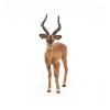 PAPO Wild Animal Kingdom Impala Toy Figure, 3 Years or Above, Brown (50186)