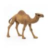 PAPO Wild Animal Kingdom Dromedary Toy Figure, 3 Years or Above, Brown (50151)