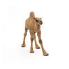 PAPO Wild Animal Kingdom Dromedary Toy Figure, 3 Years or Above, Brown (50151)