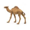 PAPO Wild Animal Kingdom Dromedary Toy Figure, 3 Years or Above, Brown (50151)