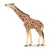 PAPO Wild Animal Kingdom Giraffe Head Up Toy Figure, 3 Years or Above, Brown (50236)