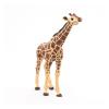 PAPO Wild Animal Kingdom Giraffe Head Up Toy Figure, 3 Years or Above, Brown (50236)