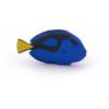 PAPO Marine Life Surgeonfish Toy Figure, 3 Years or Above, Multi-colour (56024)