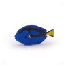 PAPO Marine Life Surgeonfish Toy Figure, 3 Years or Above, Multi-colour (56024)