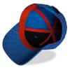 MARVEL COMICS Spider-Man Logo Badge Children's Snapback Baseball Cap (SB743625SPN)
