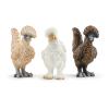 SCHLEICH Farm World Chicken Friends Toy Figure Set, 3 to 8 Years, Multi-colour (42574)