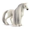 SCHLEICH Horse Club Beauty Horse Quarter Horse Mare Toy Figure, 4 Years and Above, White (42583)