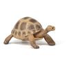 PAPO Wild Animal Kingdom Hermann's Tortoise Toy Figure, 3 Years or Above, Brown (50264)