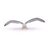PAPO Marine Life Albatross Toy Figure, 3 Years or Above, White/Grey (56038)