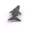 PAPO Marine Life Sperm Whale Calf Toy Figure, 3 Years or Above, Grey (56045)