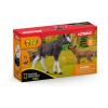 SCHLEICH Wild Life National Geographic Kids Moose with Calf Toy Figure, 3 Years and Above, Multi-colour (42603)