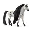 SCHLEICH Horse Club Sofia's Beauties Beauty Horse Knabstrupper Stallion Toy Figure, 4 to 10 Years, White/Black (42622)