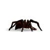 WIZARDING WORLD Aragog Toy Figure, 6 Years and Above, Brown/Black (13987)