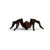 WIZARDING WORLD Aragog Toy Figure, 6 Years and Above, Brown/Black (13987)