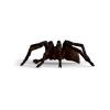 WIZARDING WORLD Aragog Toy Figure, 6 Years and Above, Brown/Black (13987)