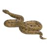 MOJO Wildlife Green Anaconda Toy Figure, 3 Years or Above, Green (381007)