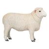 MOJO Farmland Romney Sheep (Ram) Toy Figure, 3 Years or Above, White (381063)