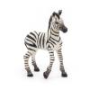 PAPO Wild Animal Kingdom Zebra Foal Toy Figure, 3 Years or Above, Black/White (50123)