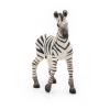 PAPO Wild Animal Kingdom Zebra Foal Toy Figure, 3 Years or Above, Black/White (50123)