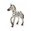 PAPO Wild Animal Kingdom Zebra Foal Toy Figure, 3 Years or Above, Black/White (50123)