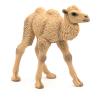 PAPO Wild Animal Kingdom Camel Calf Toy Figure, 3 Years or Above, Beige (50221)