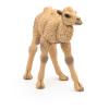 PAPO Wild Animal Kingdom Camel Calf Toy Figure, 3 Years or Above, Beige (50221)